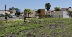 Terreno en venta  Fray Luis de León