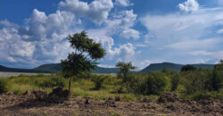 Terreno en venta en los Cues