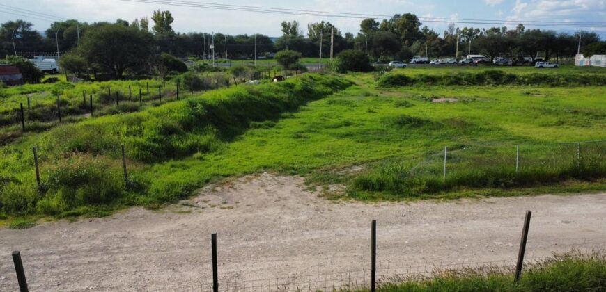 Terreno en renta en carretera Tequisquiapan- Querétaro