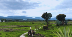 Rancho en venta en Colón