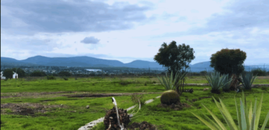 Rancho en venta en Colón