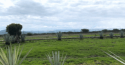 Rancho en venta en Colón
