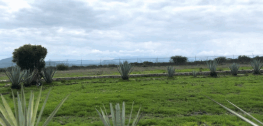 Rancho en venta en Colón