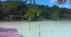 Terreno en venta en Bacalar