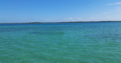 Terreno en venta en Bacalar